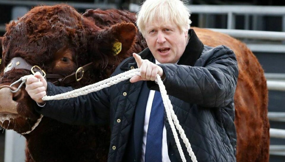Boris Johnson kommer ikke til at bede EU om udsættelse, siger han selv. Arkivfoto: Scanpix