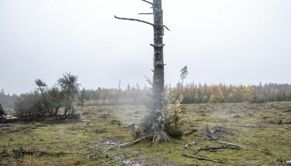 Et tydeligt tegn på den så omfattende brand. Foto: René Lind Gammelmark Et tydeligt tegn på den så omfattende brand. Foto: René Lind Gammelmark