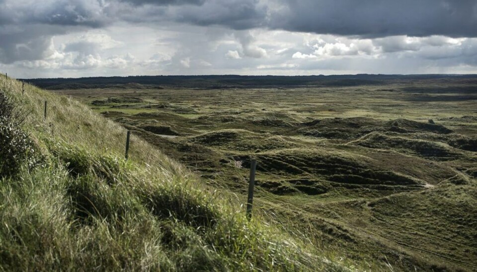 Torbens hobby sender ham på kontanthjælp Torben fortæller, at han har kameraet med, når han er ude i Nationalpark Thy for at få frisk luft. Foto: Scanpix.