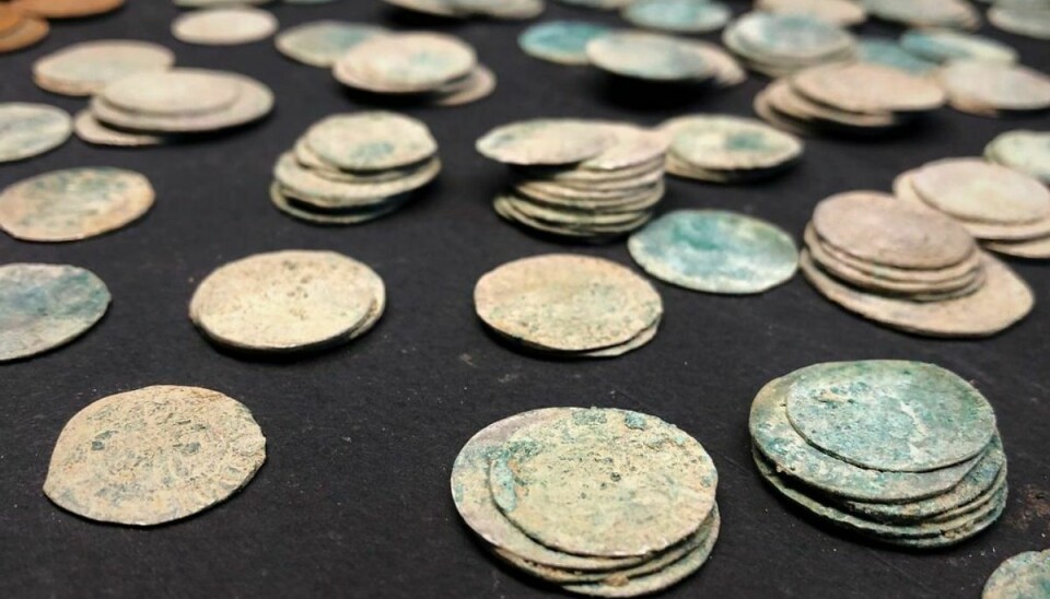 VejleMuseerne har fundet flere tusind sølvmønter og tre guldmønter på nuværende. Hele skatten er ikke fundet. Det har fået andre til at prøve lykken. Og det er ulovligt. Foto: VejleMuseerne/Ritzau Scanpix