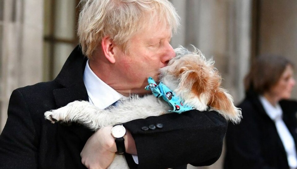 Afgjort: Labour får høvl – udsigt til lyn-brexit Boris Johnson har haft et solidt valg. Foto: Scanpix
