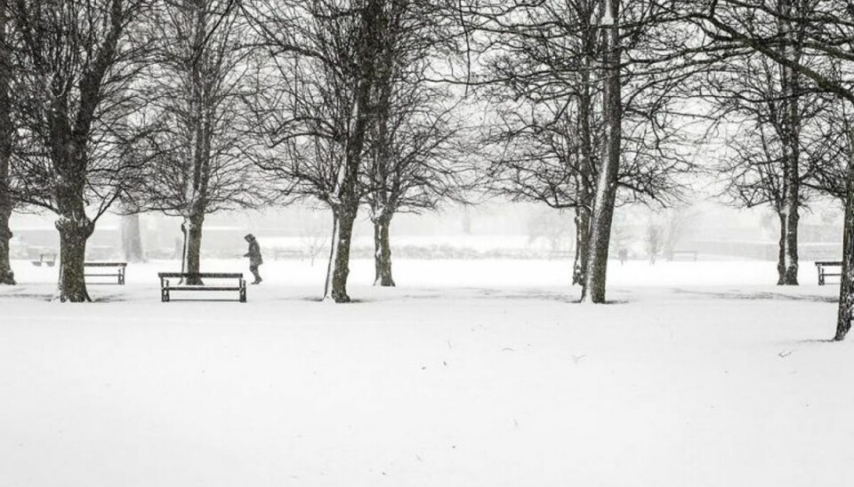 Du slipper ikke – KLIK VIDERE OG LÆS, HVAD DU BØR GØRE I HAVEN OM VINTEREN. Foto: Scanpix Du slipper ikke – KLIK VIDERE OG LÆS, HVAD DU BØR GØRE I HAVEN OM VINTEREN. Foto: Scanpix