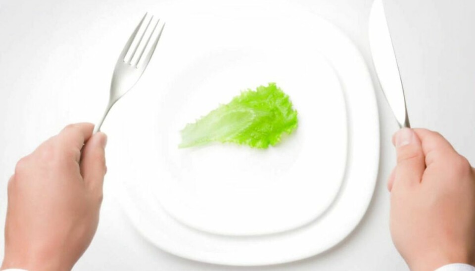 Eksperter advarer: Veganere skal passe på