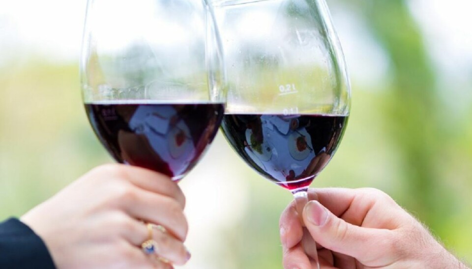 Ulovlig vin sælges i Danmark Arkivfoto.