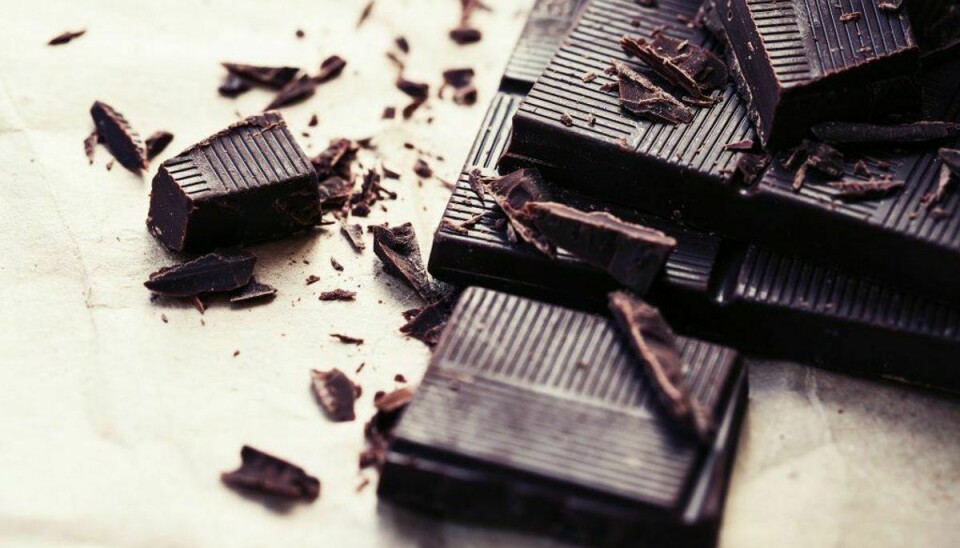 Mørk chokolade: Hunde kan ikke tåle chokolade, og jo højere indhold af kakao, des giftigere er det. Kan give opkast, diarré og påvirke nervesystemet. Foto: Scanpix
