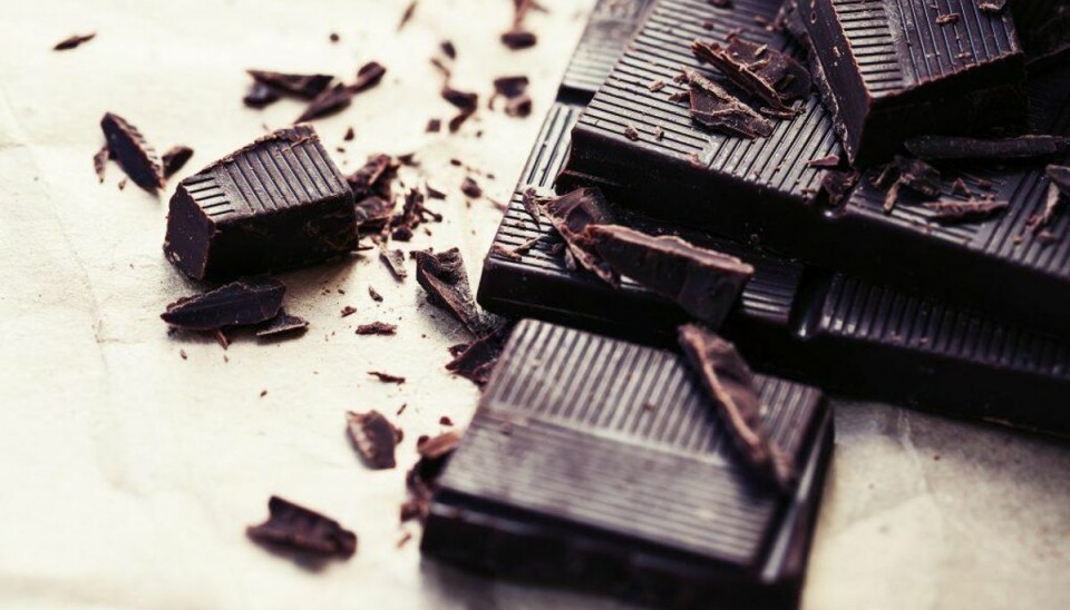 Mørk chokolade: Hunde kan ikke tåle chokolade, og jo højere indhold af kakao, des giftigere er det. Kan give opkast, diarré og påvirke nervesystemet. Foto: Scanpix Mørk chokolade: Hunde kan ikke tåle chokolade, og jo højere indhold af kakao, des giftigere er det. Kan give opkast, diarré og påvirke nervesystemet. Foto: Scanpix