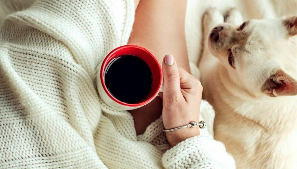 Kaffe: Kaffe – både kaffegrums og koffeinholdige drikke kan være skadelige for din hund. Foto: Scanpix