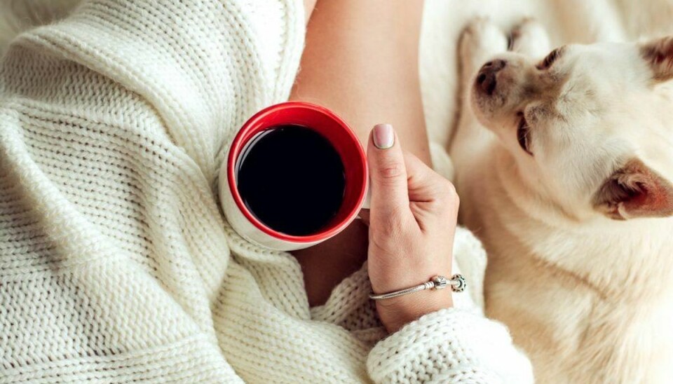 Kaffe: Kaffe – både kaffegrums og koffeinholdige drikke kan være skadelige for din hund. Foto: Scanpix Kaffe: Kaffe – både kaffegrums og koffeinholdige drikke kan være skadelige for din hund. Foto: Scanpix