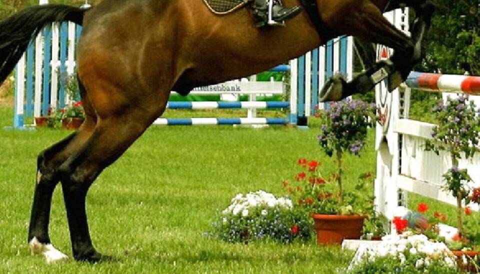Springrytter og hest død efter fatalt fald Den 33-årige canadiske rytter Katharine Morel og hesten Kerry On er begge døde af sine kvæstelser efter et fatalt spring. Foto: Scanpix/ Genre