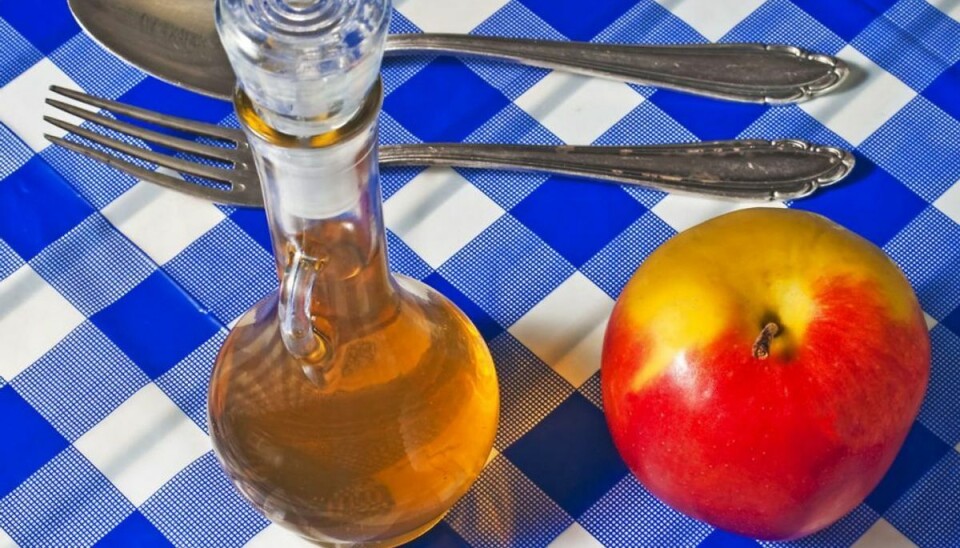Æblecidereddike er ikke kun god at have i køkkenet. Faktisk findes der mange sundhedsfordele ved æblecideredddike. Foto: KLIK VIDERE OG BLIV KLOGERE Scanpix/ Genre Æblecidereddike er ikke kun god at have i køkkenet. Faktisk findes der mange sundhedsfordele ved æblecideredddike. Foto: KLIK VIDERE OG BLIV KLOGERE Scanpix/ Genre