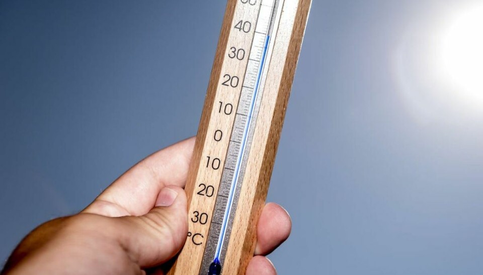 Vilde temperaturer: Disse dage stikker det af