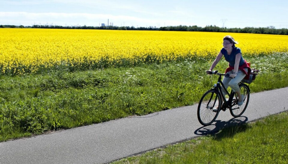 Forårsklar: Sådan får du cyklen op i gear