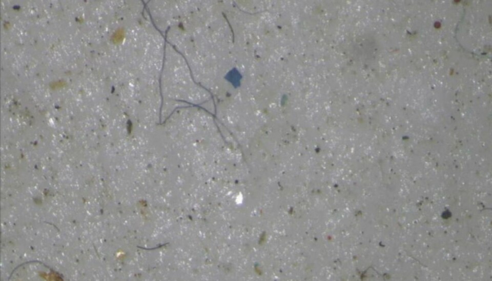 Mikroplast kan være farligt: Sådan undgår du det