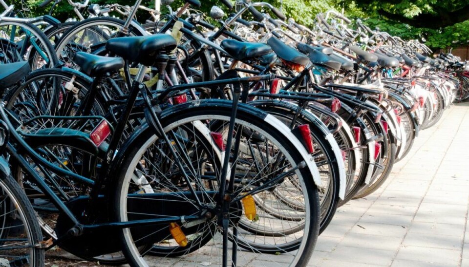 Polske mænd snuppet med 32 cykler To polske mænd blev snuppet med 32 cykler. De nægter sig skyldige i hæleri. Foto: Colourbox.