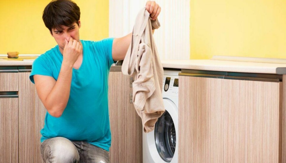 Indtil Necessities hypotese Sådan fjerner du lugt fra dit tøj uden vask