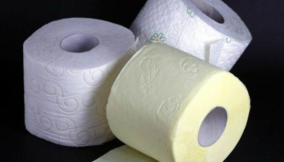 Der kan være ekstra brug for toiletpapir på Bornholm. Foto: Scanpix