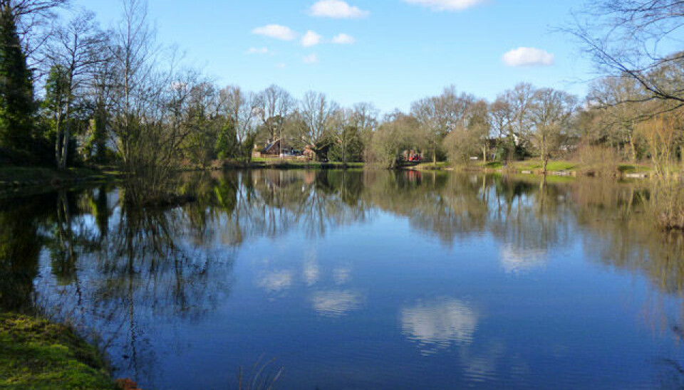 Kingsley Pond, Kingsley, Sydengland