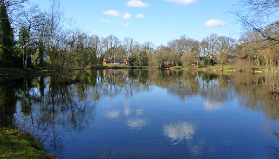 Det var i denne sø, Kingsley Pond i den sydengelske by Kingsley, den toårige pige blev fundet livløs. Kingsley Pond, Kingsley, Sydengland