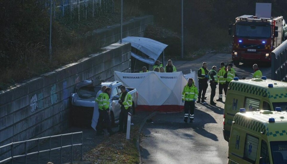 En kvinde blev dræbt ved buslommen på Helsingørmotorvejen.