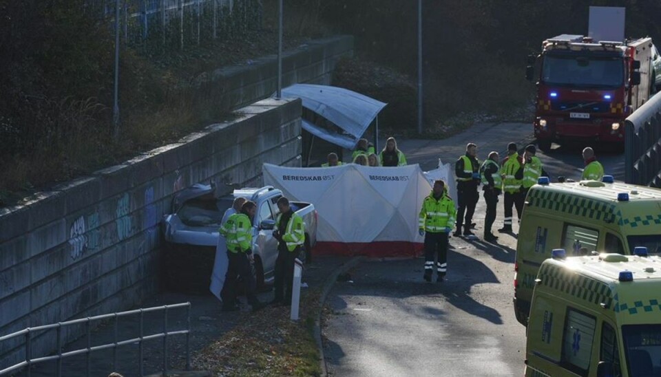 En kvinde blev dræbt ved buslommen på Helsingørmotorvejen.