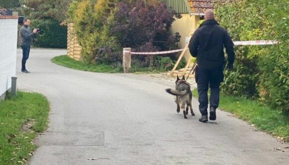 Hundepatruljer deltager i eftersøgningen.