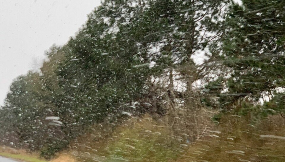I Frederikværk er sneen så småt begyndt at falde på billedet