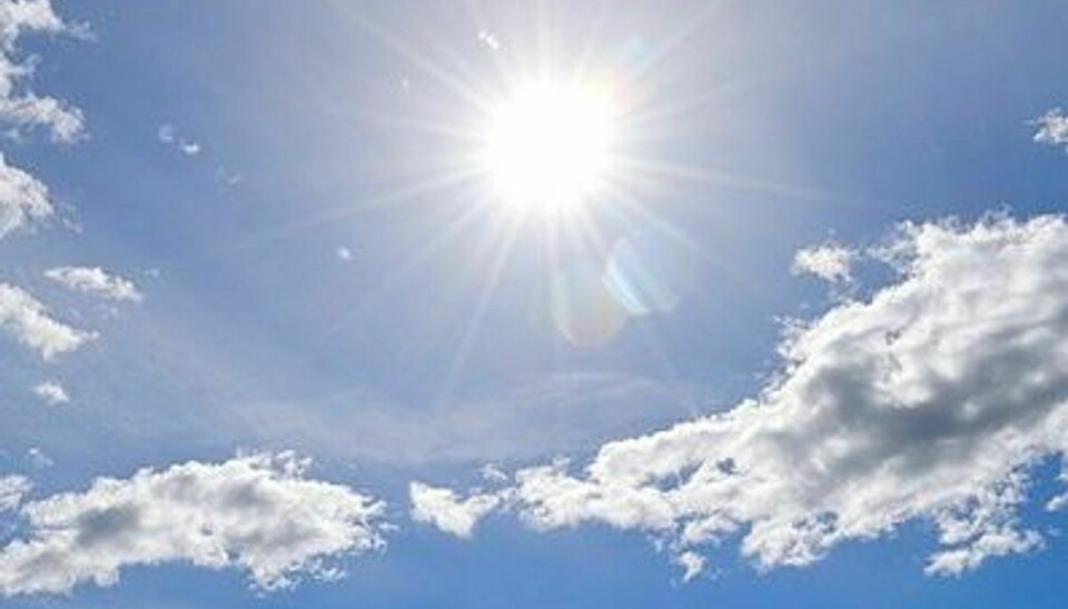 Ifølge DMI er der udsigt til sol og lunt forårsvejr i løbet af den kommende måned.
