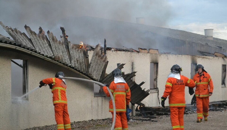 En del grise skal aflives efter gårdbrand.