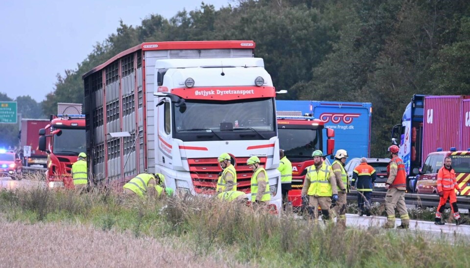 Motorvej E45 ved Aarhus var mandag morgen helt spærret i begge retninger efter brand i en grisetransport. Motorvej E45 ved Aarhus var mandag morgen helt spærret i begge retninger efter brand i en grisetransport.