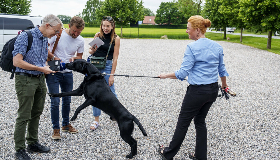 Blandt andet partilederen Inger Støjberg (DD) har haft sin hund med på arbejde. (Arkivfoto).