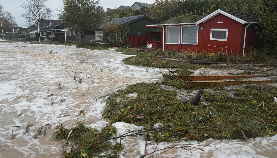 Her stiger vandet i Hejlsminde. Beboerne ved Ulvshale Strand i Vordingborg Kommune opfordres nu til at evakuere deres sommerhuse.