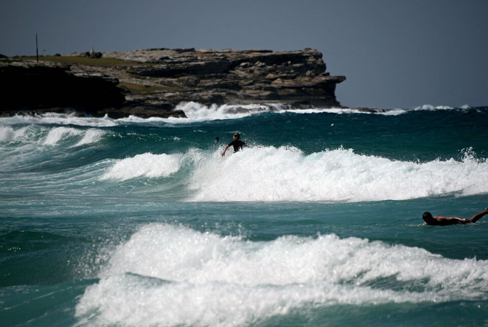 Det var en australsk surfer, der ifølge et øjenvidne tirsdag blev taget af en hvidhaj på den australske sydkyst. Billedet her er fra en strand i den australske storby Sydney i 2021.