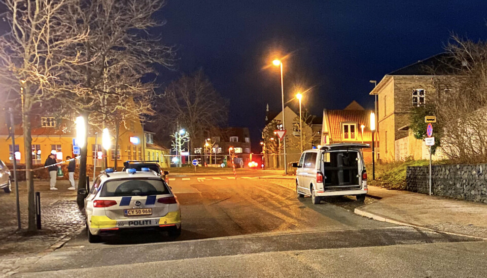 Den 15-årige blev dræbt med et enkelt knivstik, kom det frem i retten.