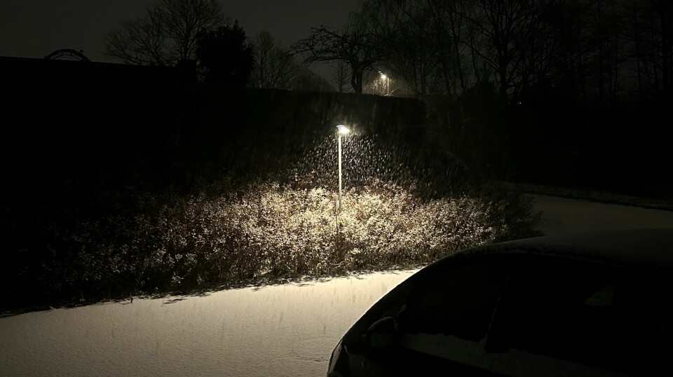 Det har sneet flere steder natten til torsdag. Her er det ved Aarhus, hvor den nye sne har lagt sig som et fint, hvidt lag.