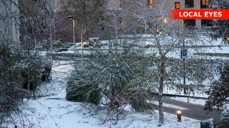 Frederiksberg er dækket i sne torsdag morgen.