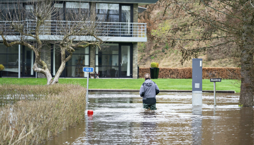 Sådan så det ud, da Storå ved Holstebro gik over sine bredder i februar 2020. Vandstanden i Storå kan nå samme niveau onsdag eftermiddag, advarer Holstebro Kommune. (Arkivfoto).