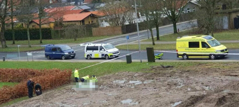 En mand blev søndag formiddag fundet død i boligområdet Dianavænget i Odense SV