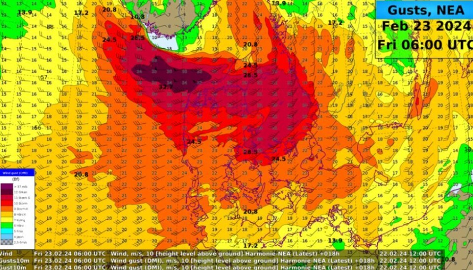 Billedet viser en af DMI's prognosers bud på vindstød fredag morgen. De mørkeste områder er der, hvor vinden blæser med størst styrke.