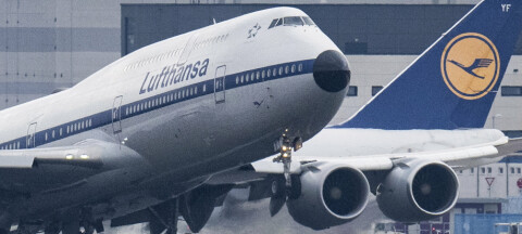 Amok med gaffel: Fly måtte gå ned