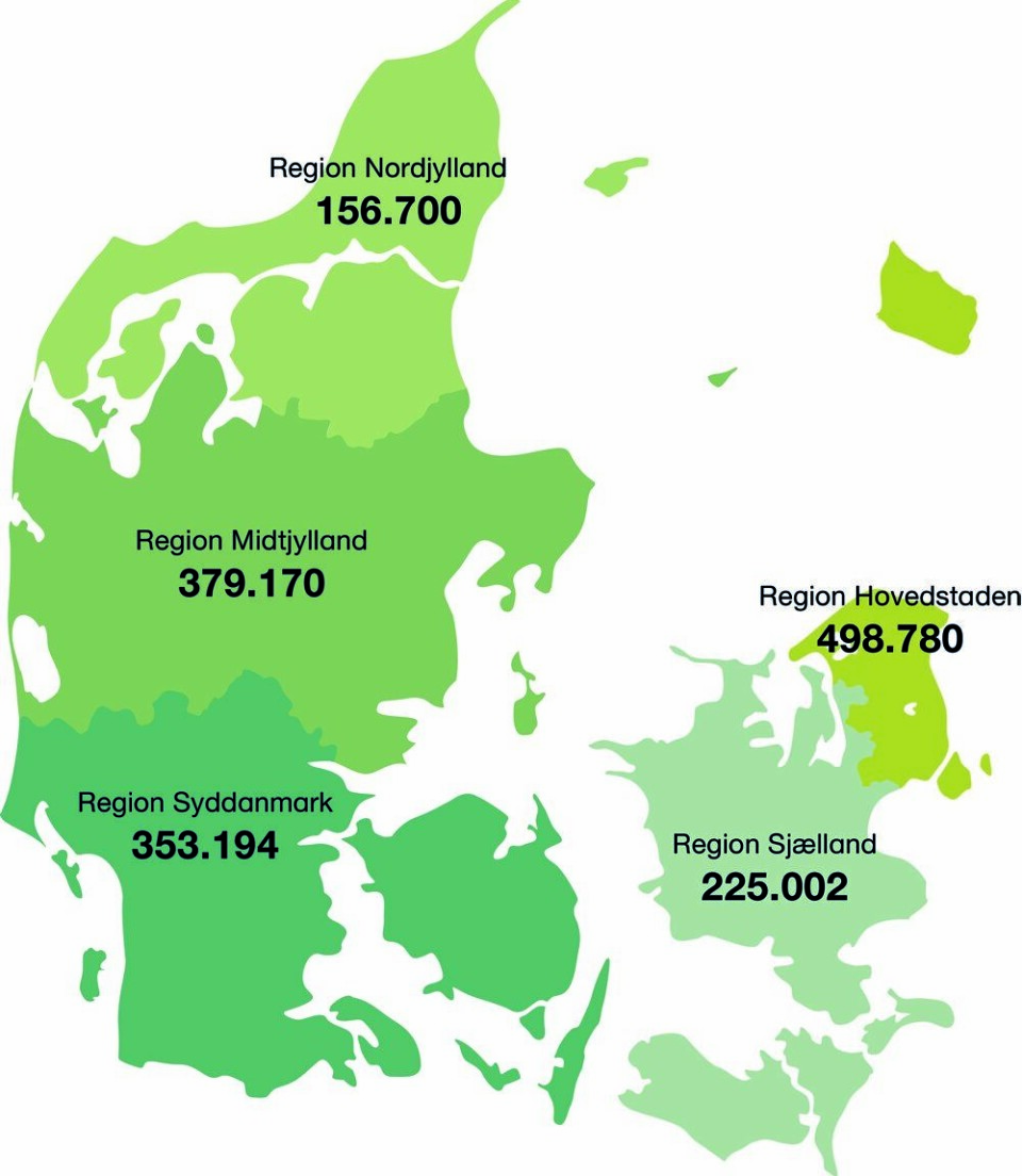 Sådan fordeler det sig bland regionerne i landet.