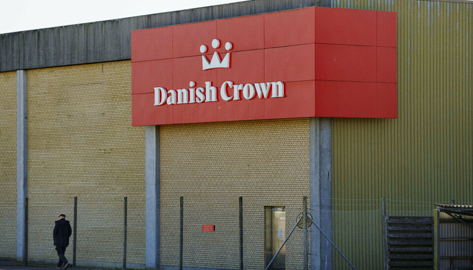 Danish Crown har slagterier flere steder i landet, blandt andet her i Ringsted, hvor billedet er taget. På et andet af virksomhedens slagterier i Holsted mellem Vejen og Esbjerg blev en ansat dræbt torsdag.