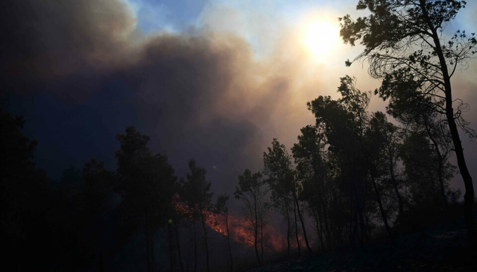 Store røgsøjler står op fra en skovbrand i området ved Keratea nær den græske hovedstad, Athen, søndag 30. juni. Grækenland frygter en farlig sommer, fordi tørke og hårde vindstød øger risikoen for skovbrande. Mandag betød en brand på ferieøen Kos, at danske turister måtte evakueres.