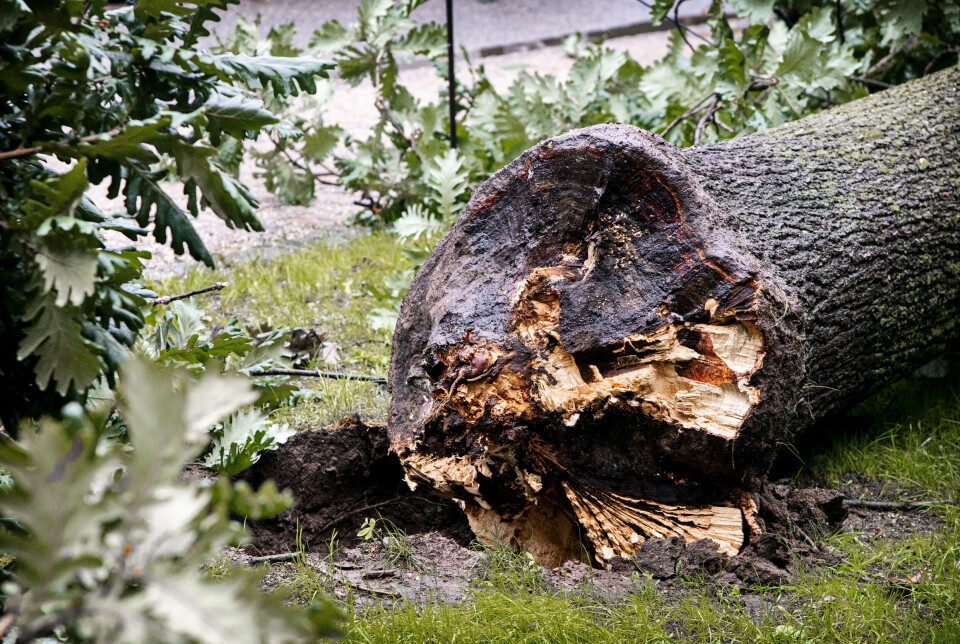 Sent lørdag aften og nat var der for den jyske vestkyst varslet om kuling og vindstød på op til stærk storm. (Arkivfoto).