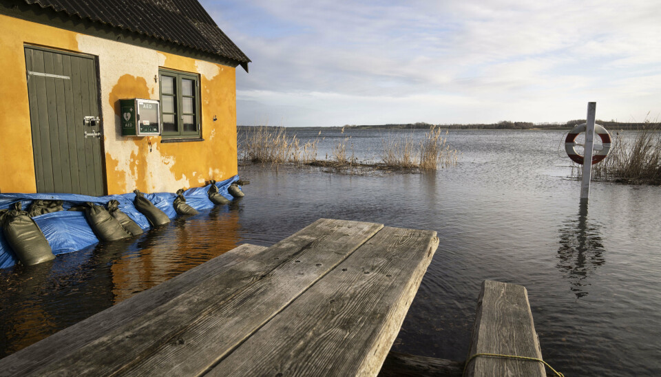 Sandsække kan være et sidste værn mod oversvømmelser, som ventes i weekenden. (Arkivfoto fra oversvømmelse ved Roskilde Fjord.)