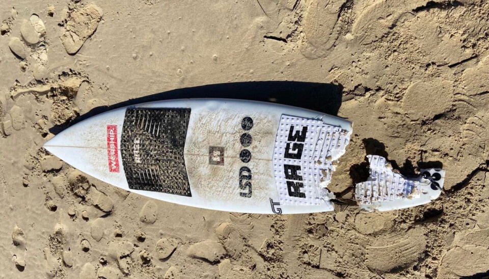 Den 23-årige surfers bræt efter angrebet.