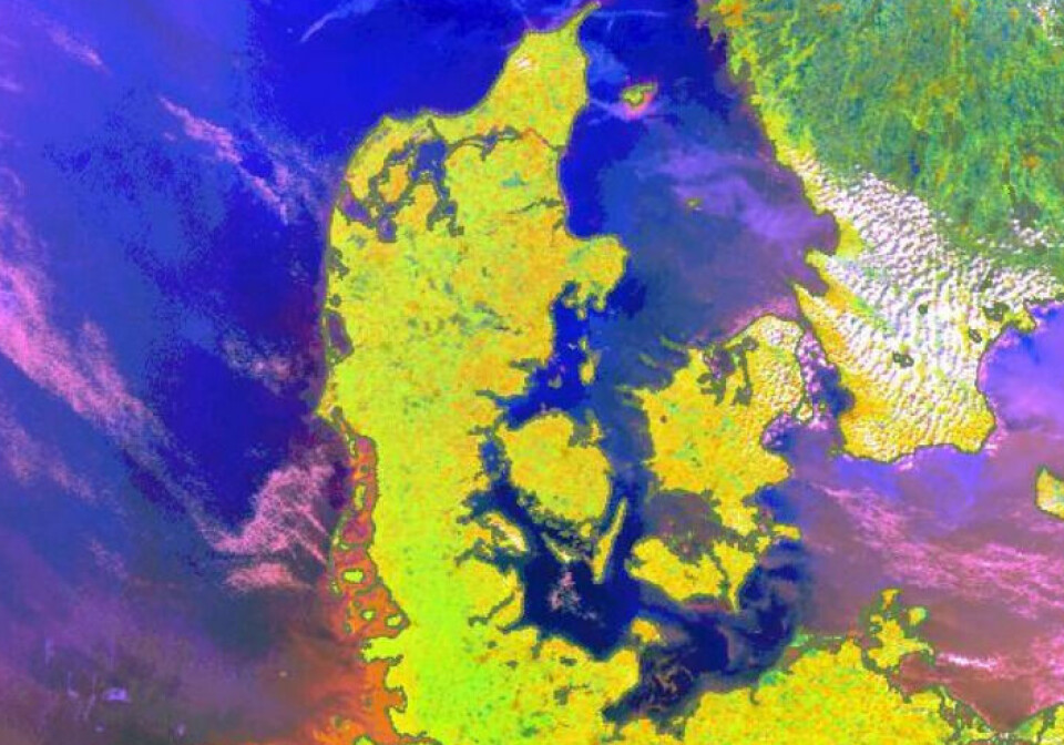 Der er udsigt til flotte temperaturer tirsdag