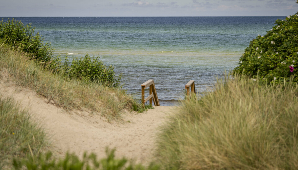 Hele Danmark får tirsdag og onsdag 20 til 25 grader - nogle steder bliver der muligvis varmere, oplyser Bolette Brødsgaard fra DMI. (Arkivfoto).