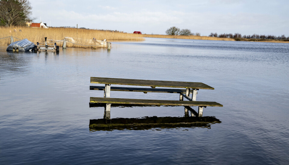 I februar 2020 ramte oversvømmelser i Limfjorden bådhavnen ved Sebbersund, som ses her. Med en ny kortlægning foreslår Kystdirektoratet, at Vestlig Limfjord og Østlig Limfjord udpeges som nye risikoområder for oversvømmelser. De er blandt 11 nye områder, som direktoratet vil føje til listen med i forvejen 14 risikoområder på.