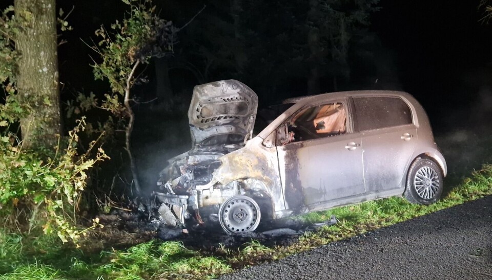 Bilen påkørte vejtræet søndag aften og brød derefter i brand