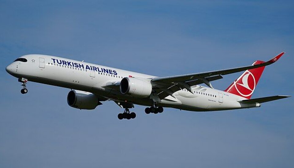 En 59-årig pilot mistede livet, mens han fløj et passagerfly.